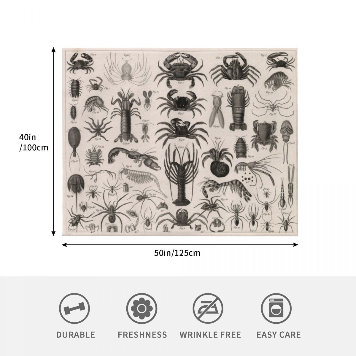 แผนภาพสัตววิทยา 1857: สัตว์ต่า - 3D Printing Diagram บทวิจารณ์และราคา
