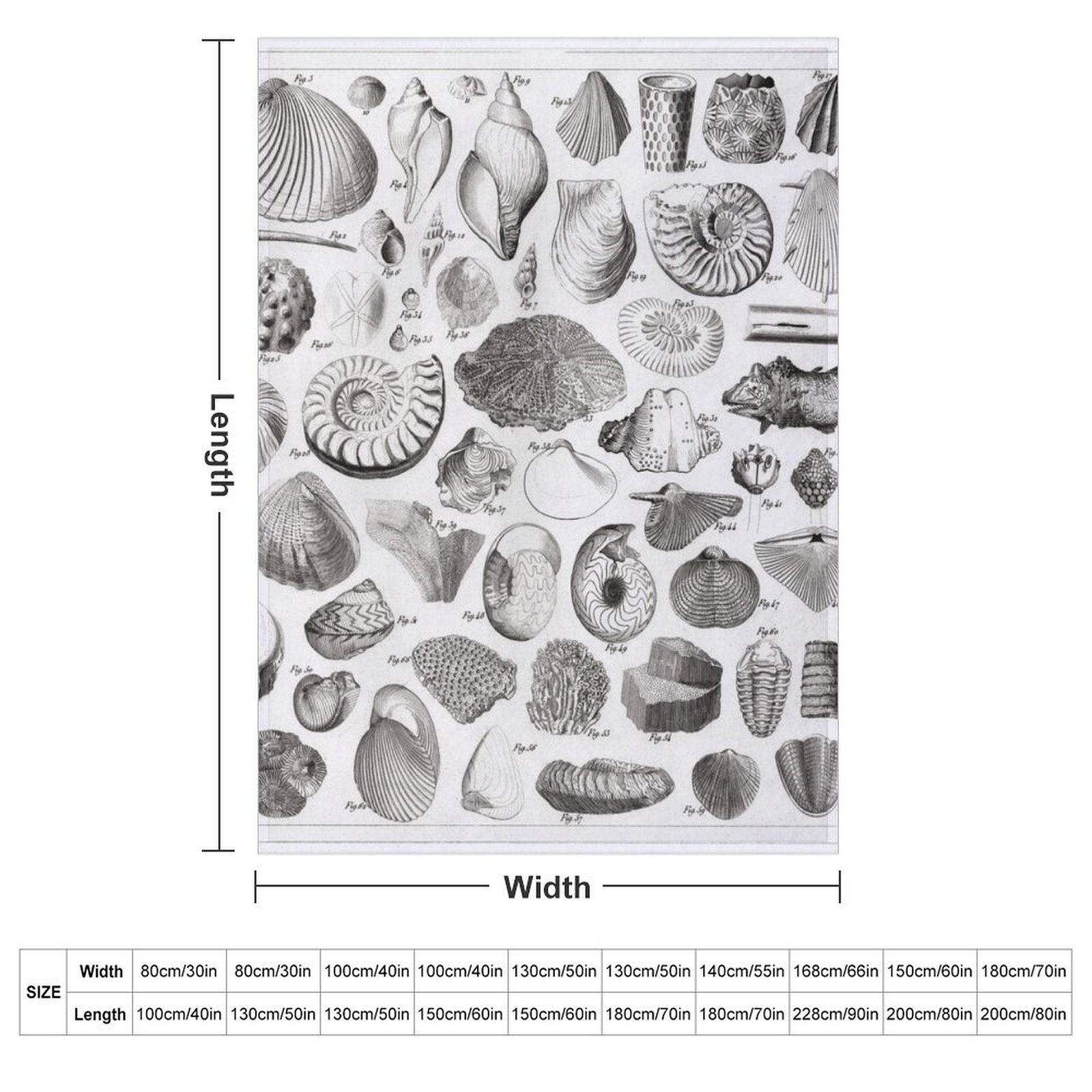 1857 Diagram Paleontology: Fos - 3D Printing Diagram บทวิจารณ์และราคา